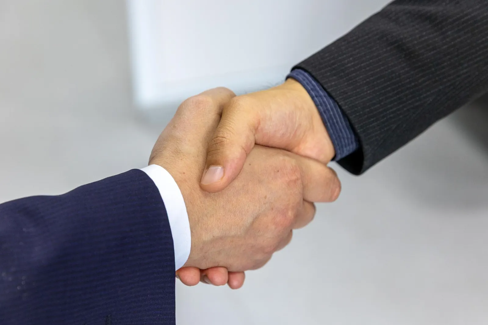 Two professionals shaking hands