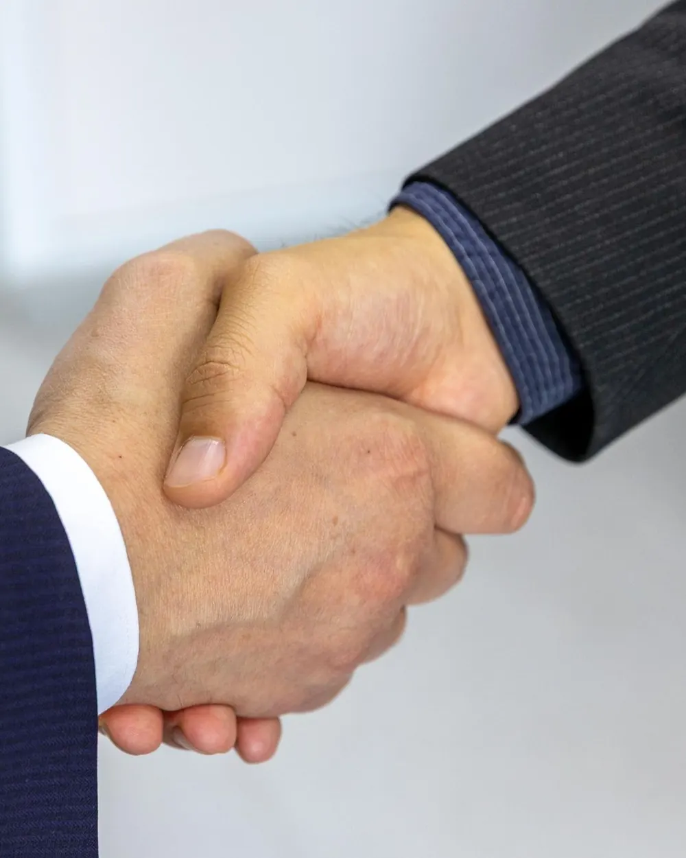 Two professionals shaking hands